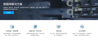 大數(shù)據(jù)時代的數(shù)據(jù)基石 數(shù)據(jù)庫解決方案與處理存儲支持服務(wù)探析